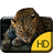 Funny Cheetah Live Wallpaper icon