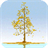 MirrorFact Ginkgo icon