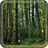 Forest Gallery LWP version 1.0