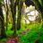 Forest Landscape Wallpapers icon