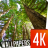 Forest wallpapers 4k icon