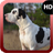 Great Dane Wallpaper icon