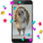 Hedgehog 3D Video LWP icon