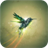Green bird fly. Live wallpapers icon