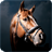 Horses Pack 2 Wallpaper icon