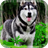 Husky Dogs Live Wallpaper icon