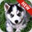 HuskyWallpapers icon