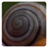 Kissing Snails icon