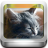 Kitten Wallpaper icon