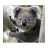 Koala Wallpaper icon