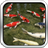 Koi Fish HD 3D Wallpaper icon