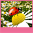 Ladybug Live Wallpapers icon