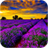 Lavender Wallpaper icon