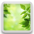 Leaves and Bokeh Live icon