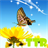 Live Wallpapers Butterfly APK Download