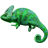 Lizard Power icon