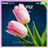 Wallpaper Tulip APK Download