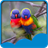 Love Birds Live Wallpapers icon