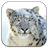 Mac(Snow Leopard) Icons version 1.0