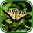 Macro Butterflies Live Wallpaper icon