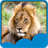 Lion Live Wallpapers icon