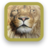 Lion Wallpapers HD version 1.0