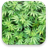 Marijuana APK Download
