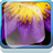 Metallic Purple Lotus icon