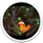 MiUI Clown Fish Live Wallpaper icon