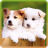 My Little Dogs Live Wallpaper icon