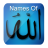 Names of Allah Wallpapers 3D icon
