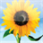 freeNo_Windows Live Wallpaper Pro icon