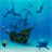 Ocean Dolphins LWP icon