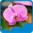 Orchid Live Wallpapers icon