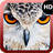 Eye Owl Wallpaper icon