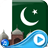 Pakistan Wallpaper - 3D Flags 1.0