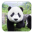 Panda 3D Live Wallpeper icon