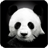 Panda Pack 2 Live Wallpaper Animals icon