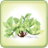 Green Solution Group icon