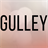 Gulley Bail Bonds version 1.0