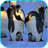 Penguins Video Live Wallpaper icon