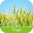 Pragas do Trigo version 3.1.1