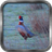 Pheasant Live Wallpaper icon