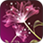 Pink Lotus icon