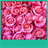Pink Roses Live Wallpapers icon