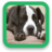 Pitbull Puppy Wallpaper icon