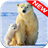 Polar Bear Wallpapers APK Download
