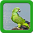 Parrot Live Wallpapers icon