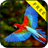Parrot Tropical Live Wallpaper icon