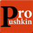 Pro Pushkin version 4.1.1